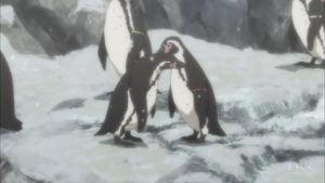ペンギン